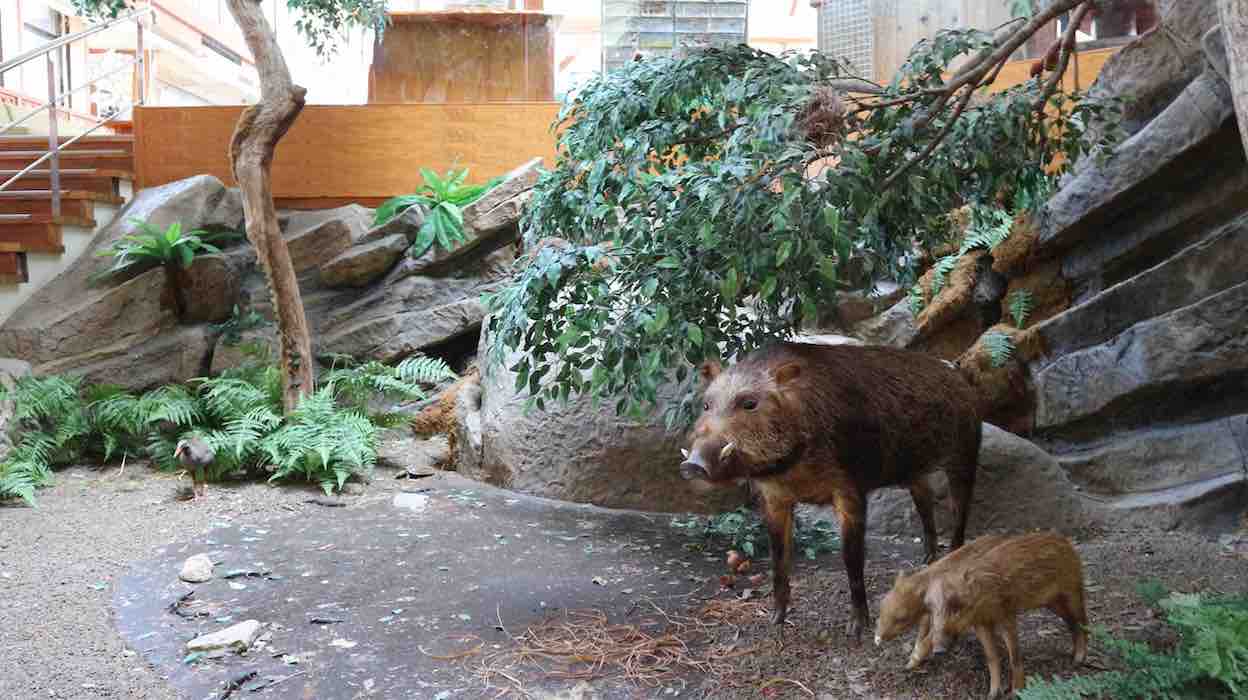 投稿された画像