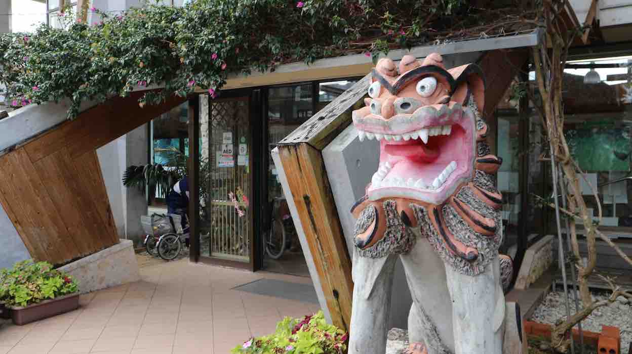 投稿された画像