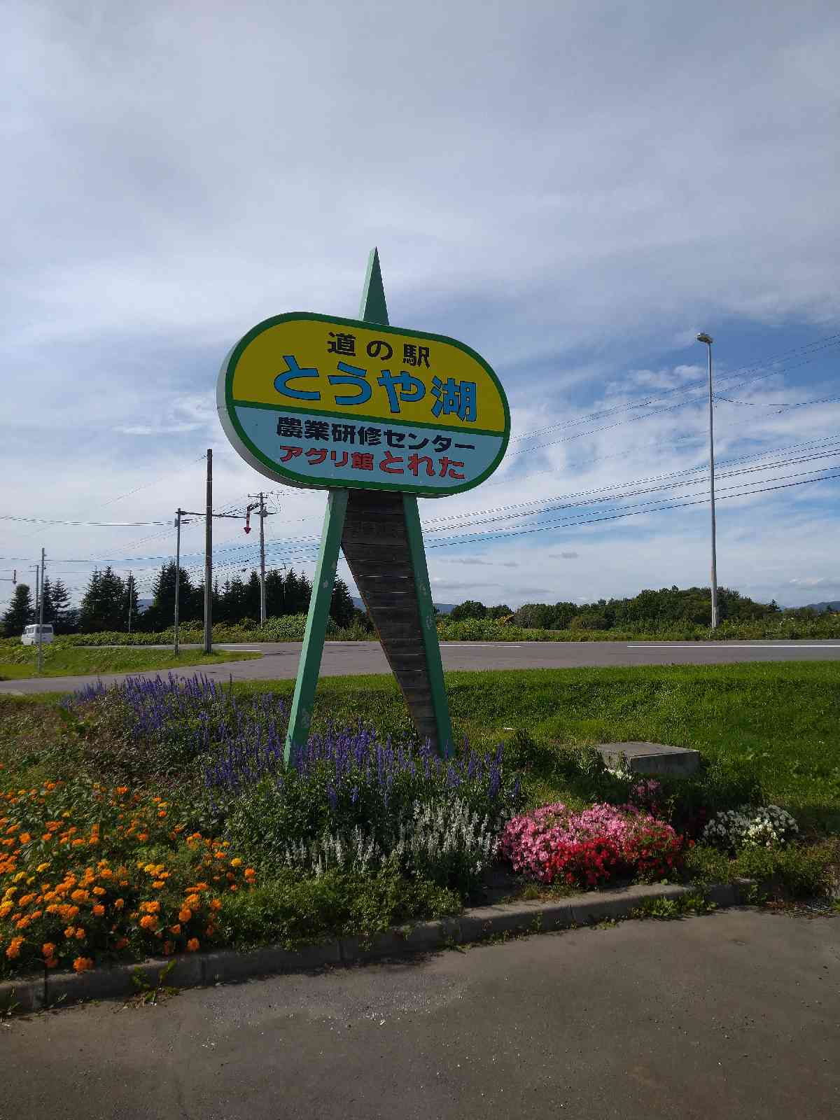 投稿された画像