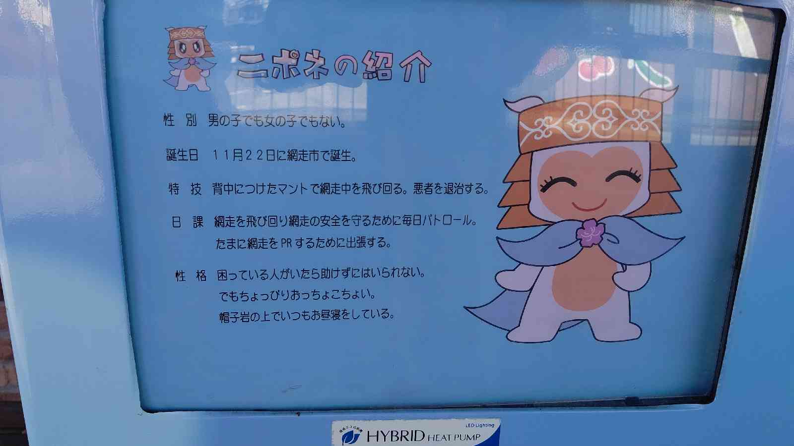投稿された画像
