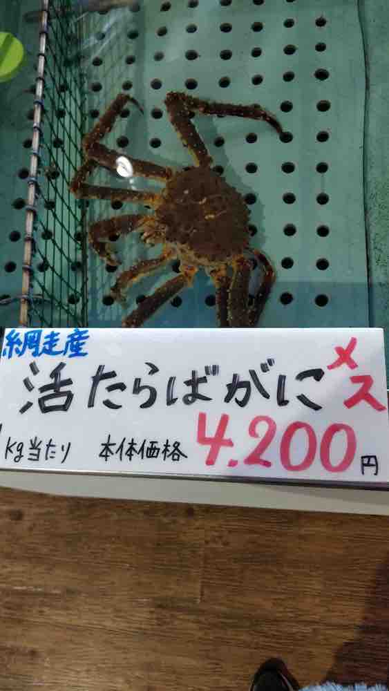 投稿された画像