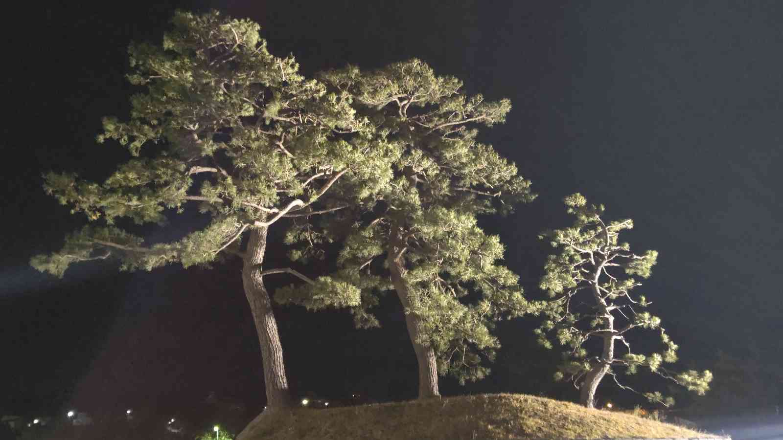 投稿された画像