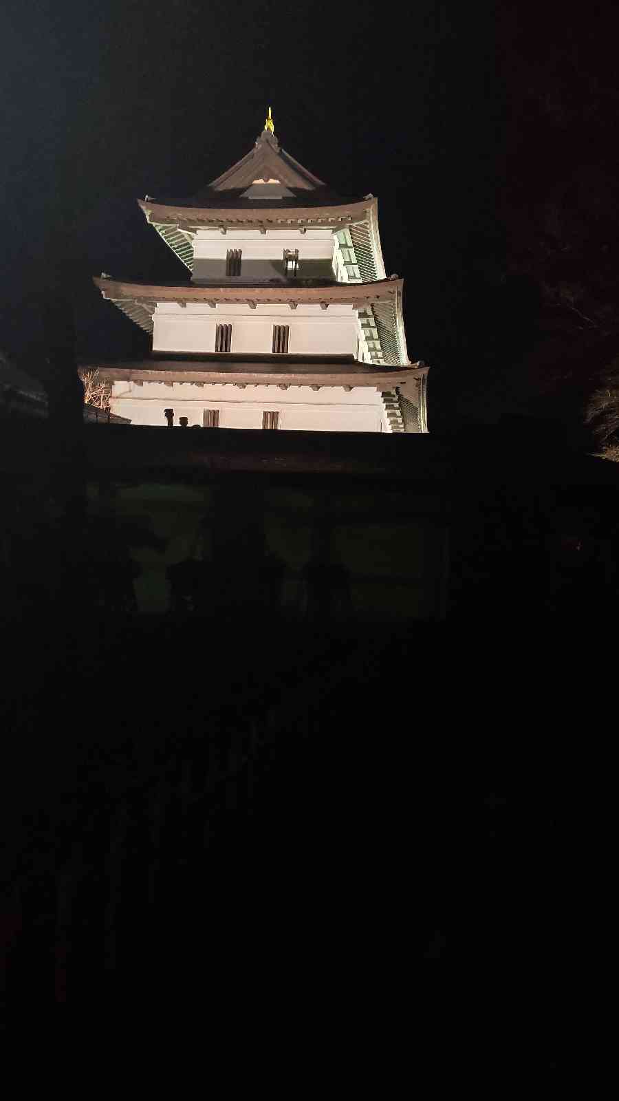 投稿された画像