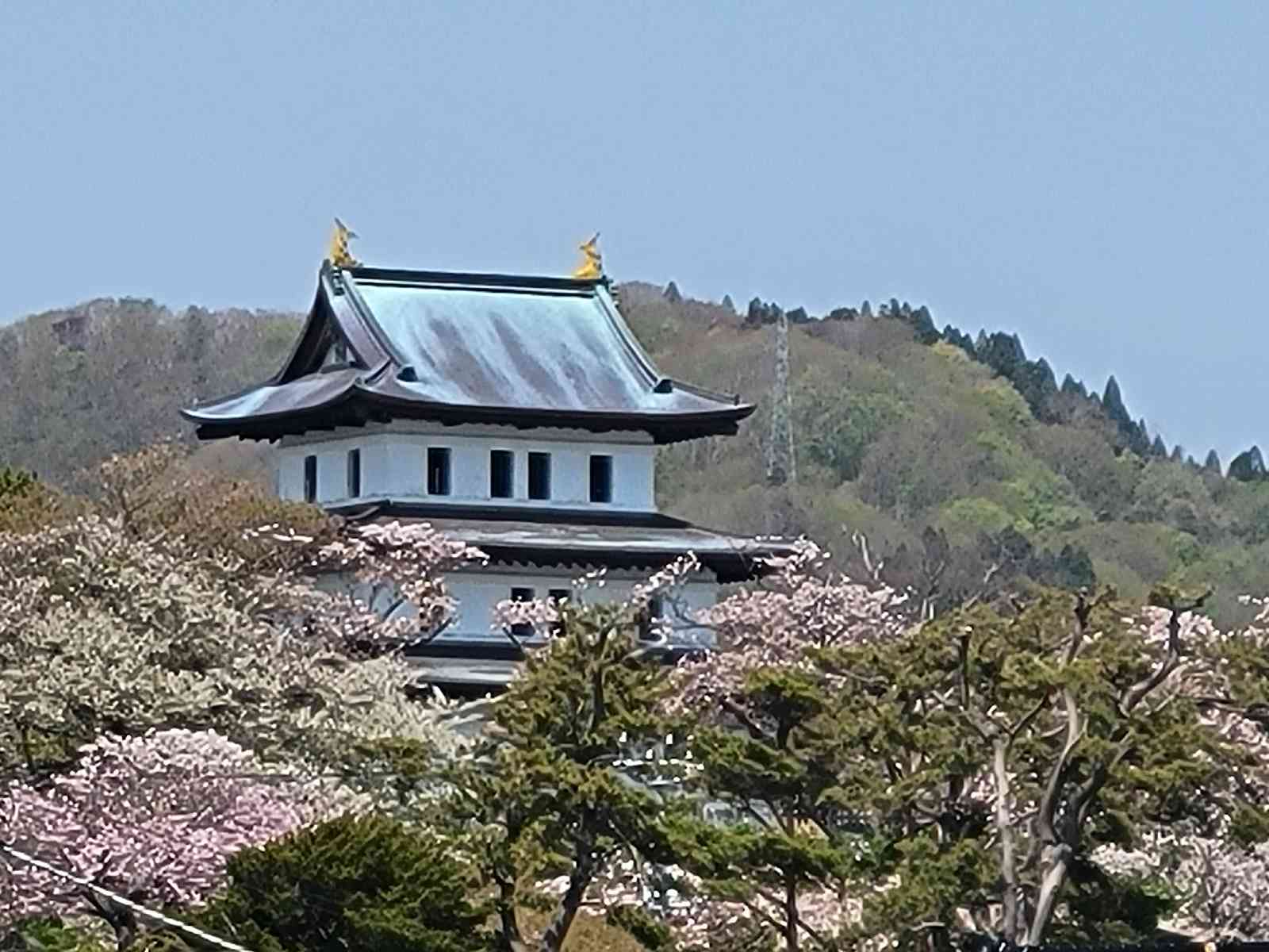 投稿された画像