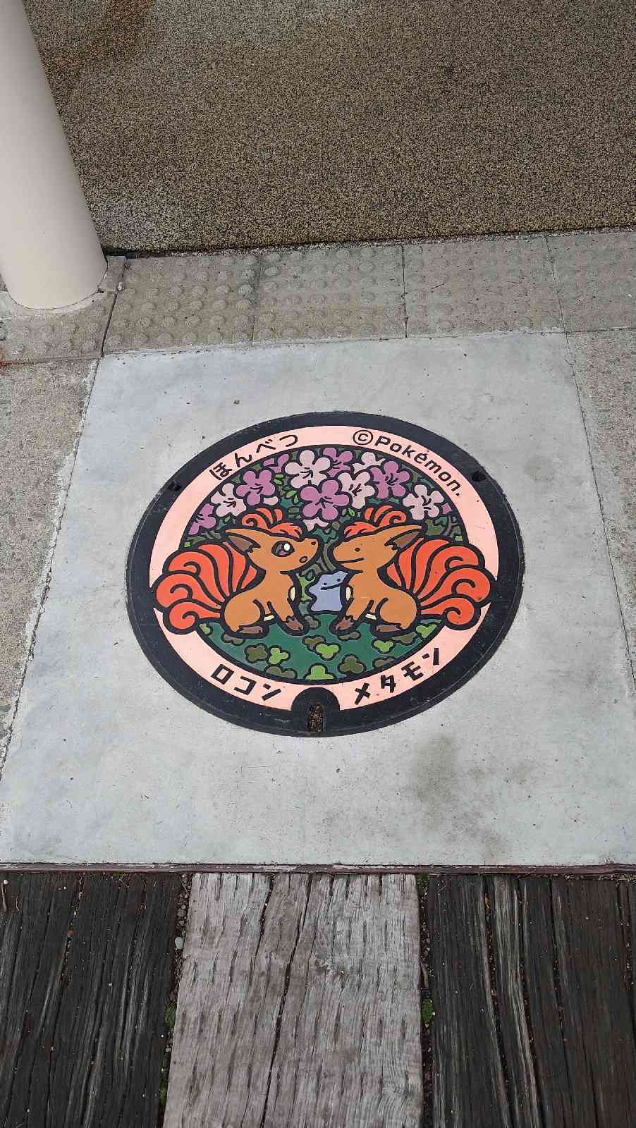 投稿された画像