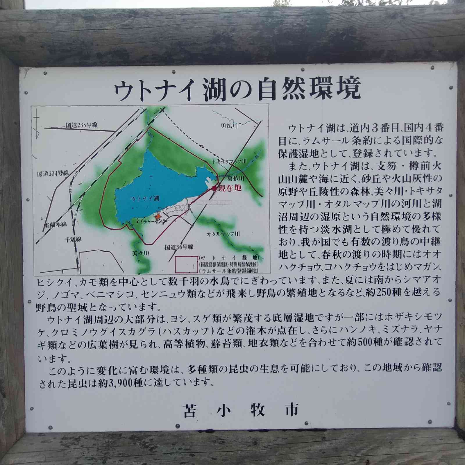 道の駅 ウトナイ湖の写真