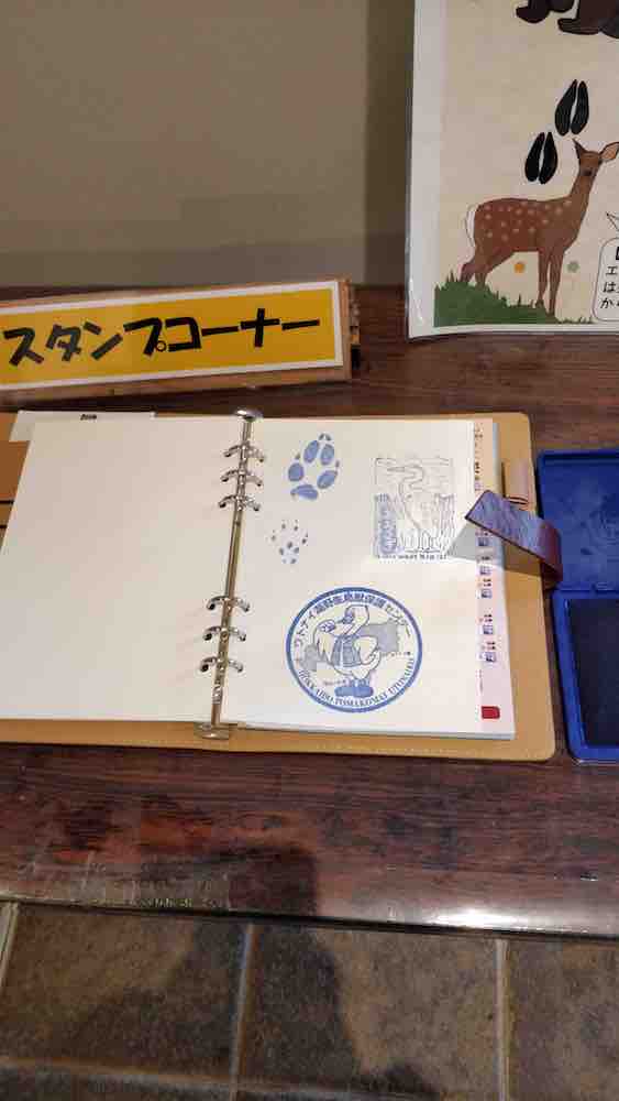 投稿された画像