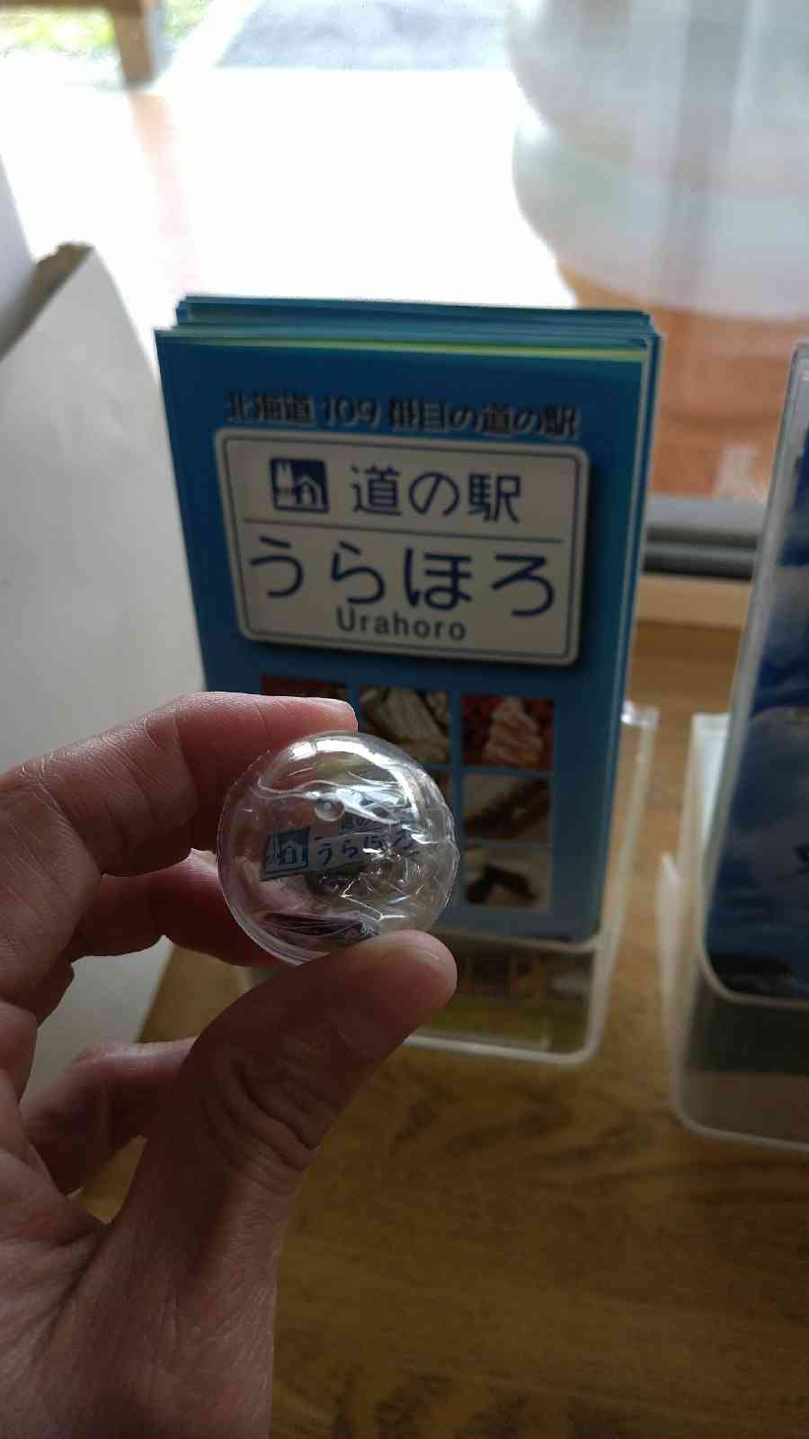 投稿された画像