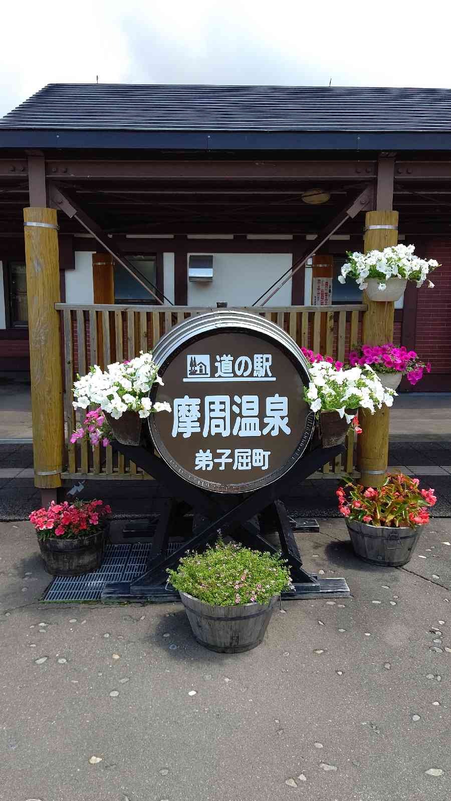 投稿された画像