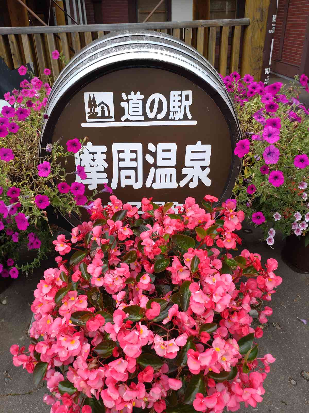 投稿された画像