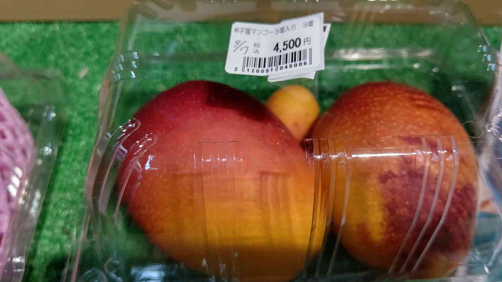投稿された画像