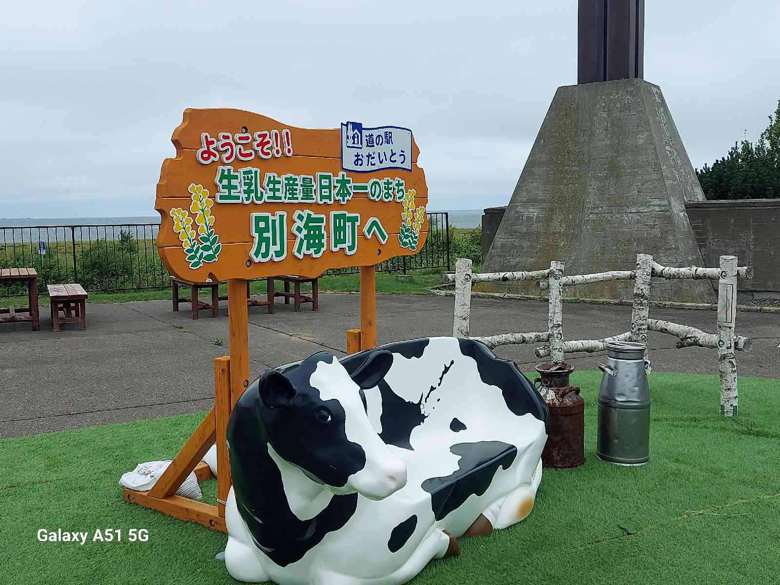 投稿された画像