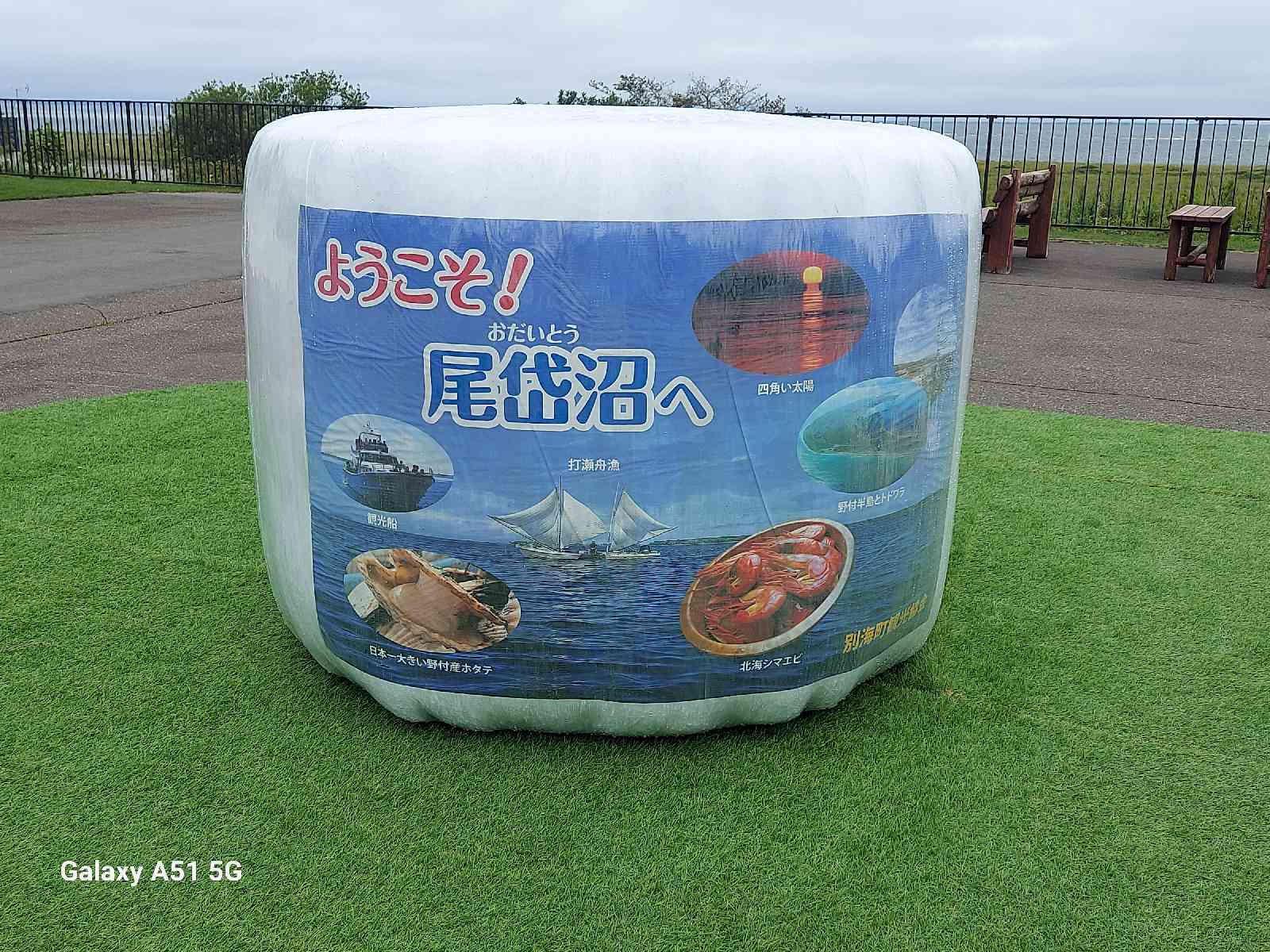 投稿された画像