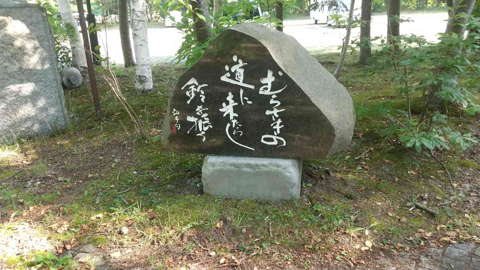 投稿された画像