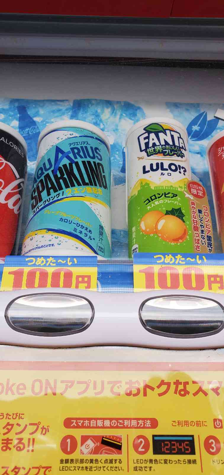 投稿された画像