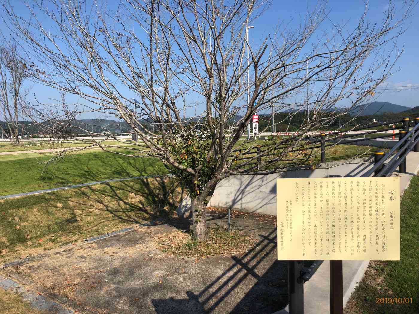 投稿された画像
