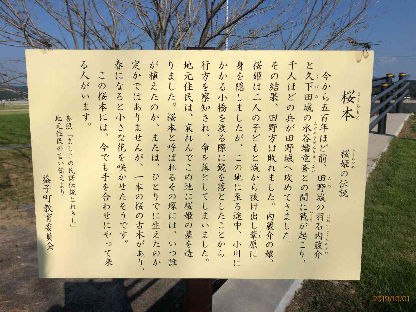 投稿された画像