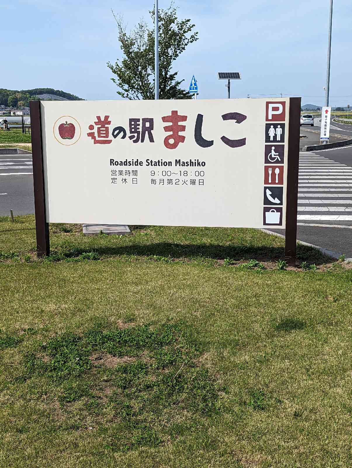 投稿された画像