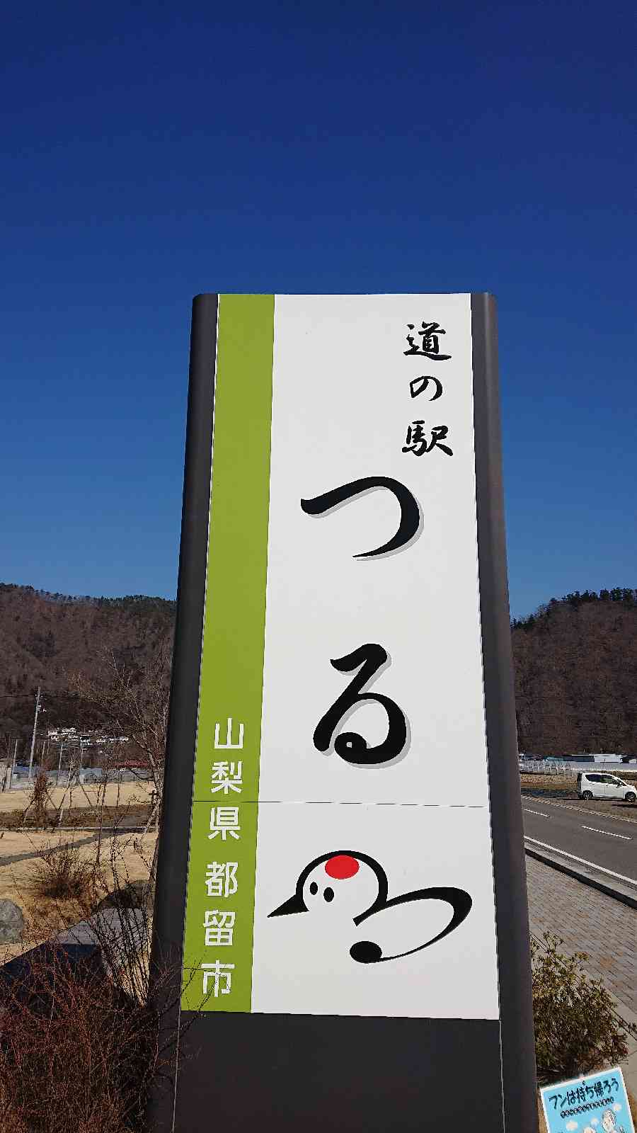 投稿された画像