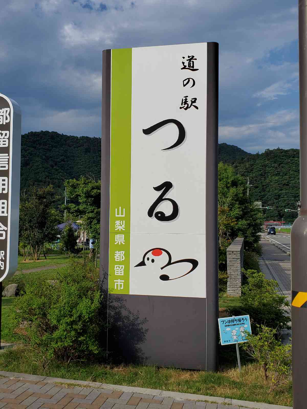 投稿された画像