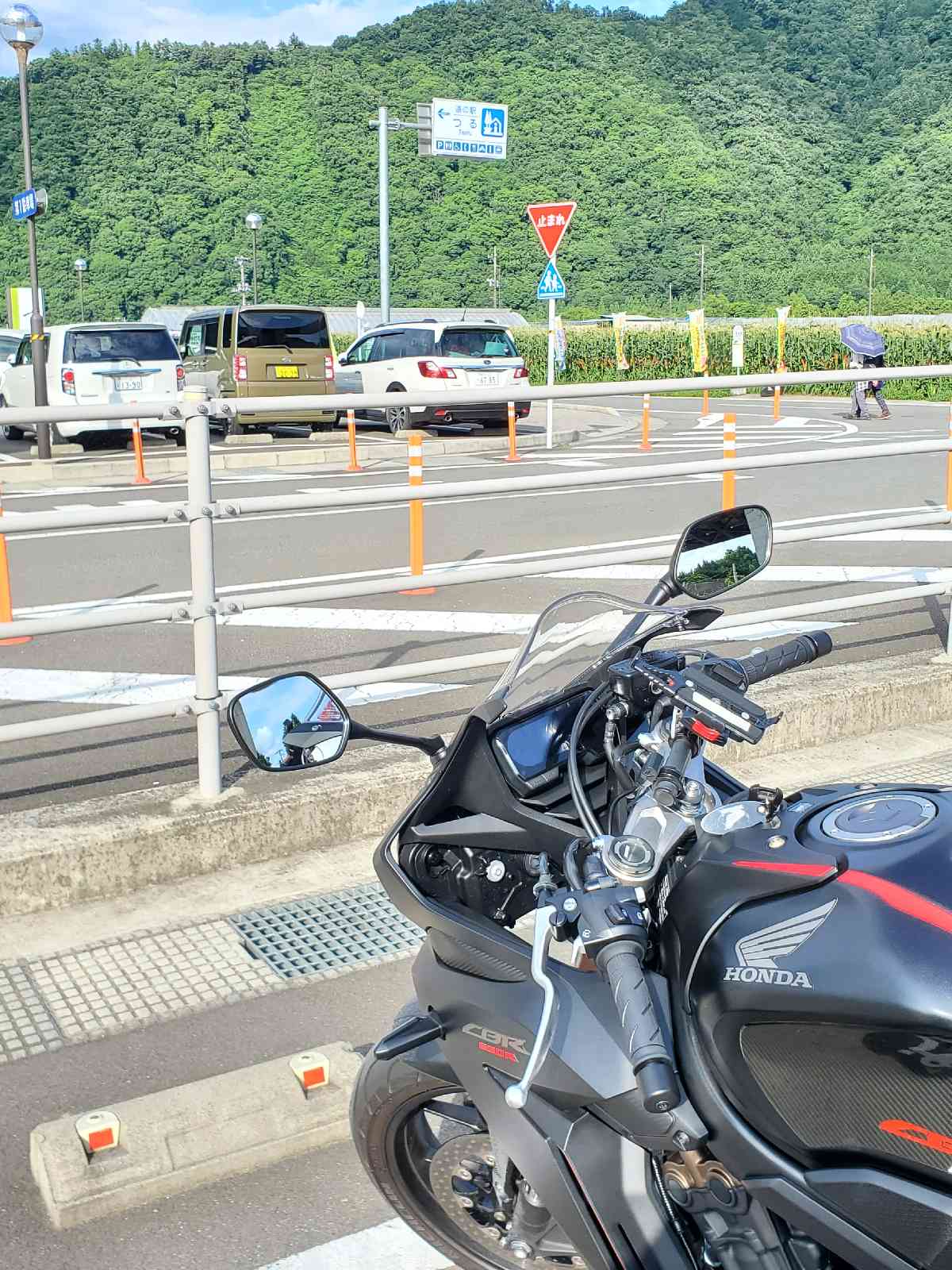 投稿された画像