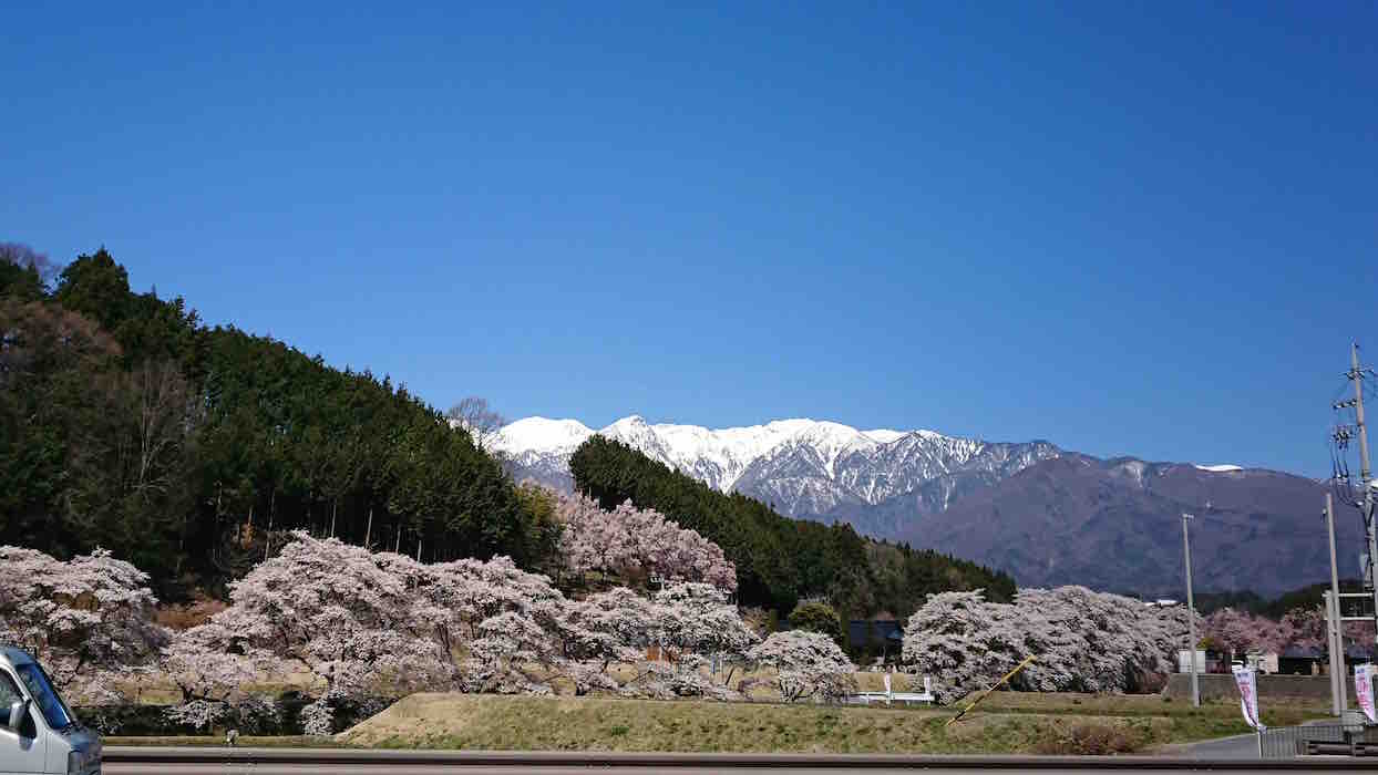 投稿された画像