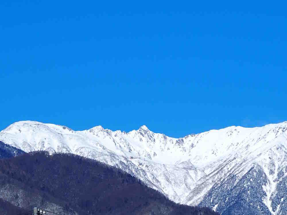 投稿された画像