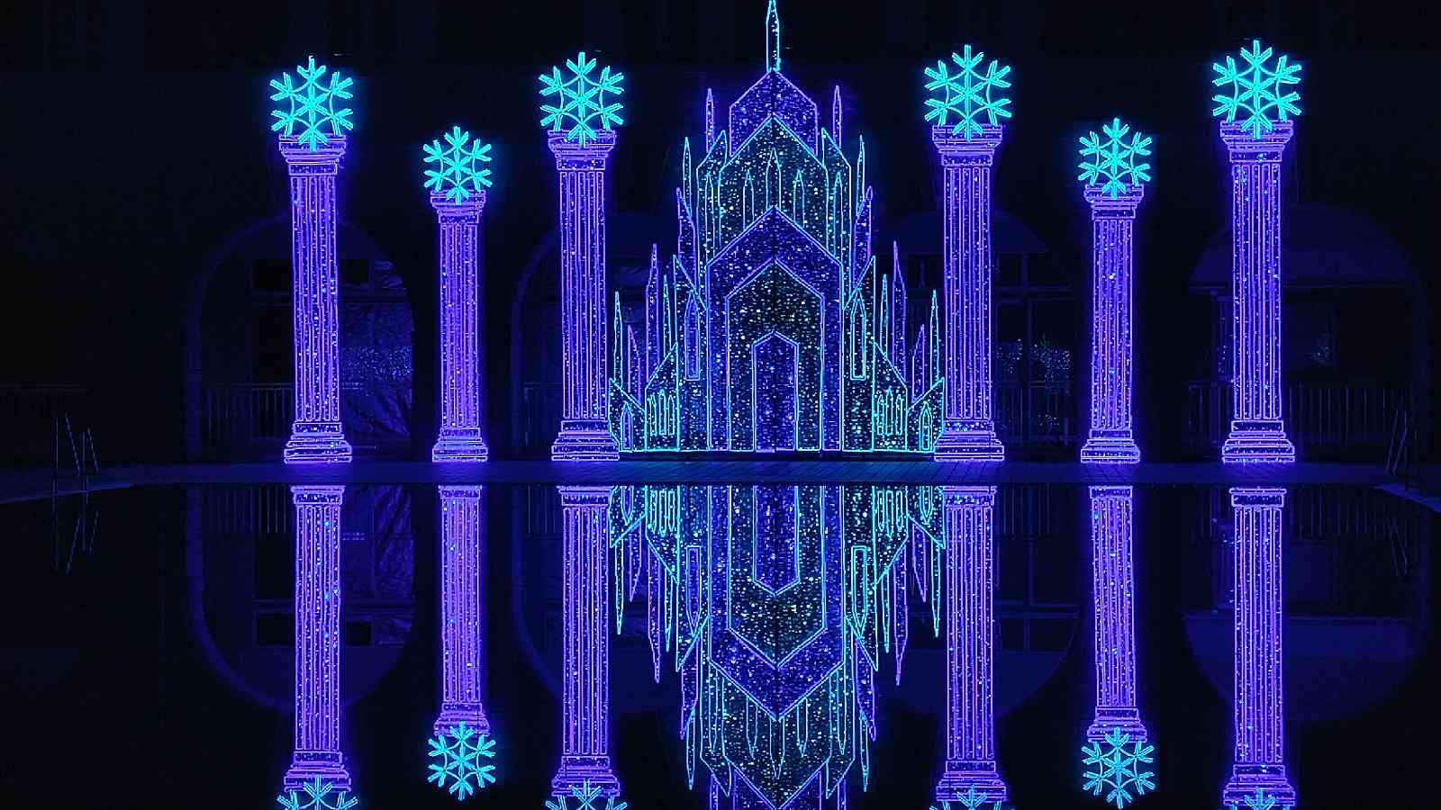 投稿された画像