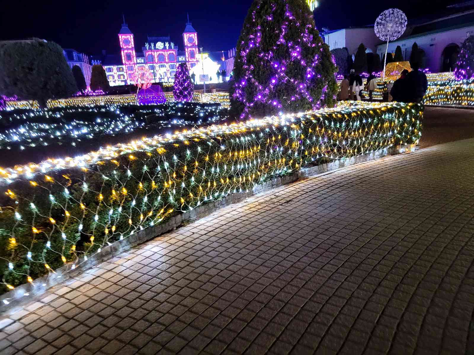 投稿された画像