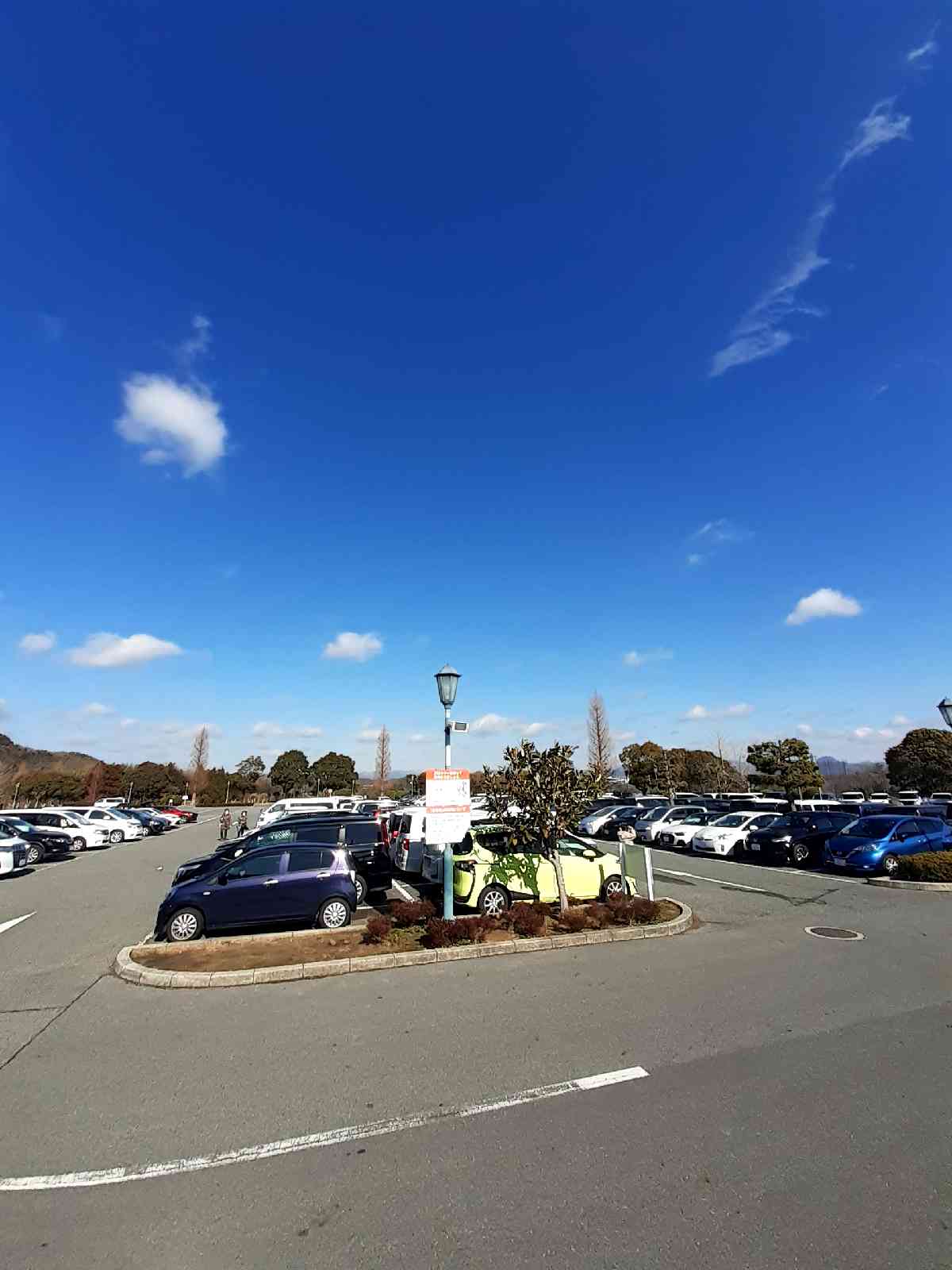 投稿された画像
