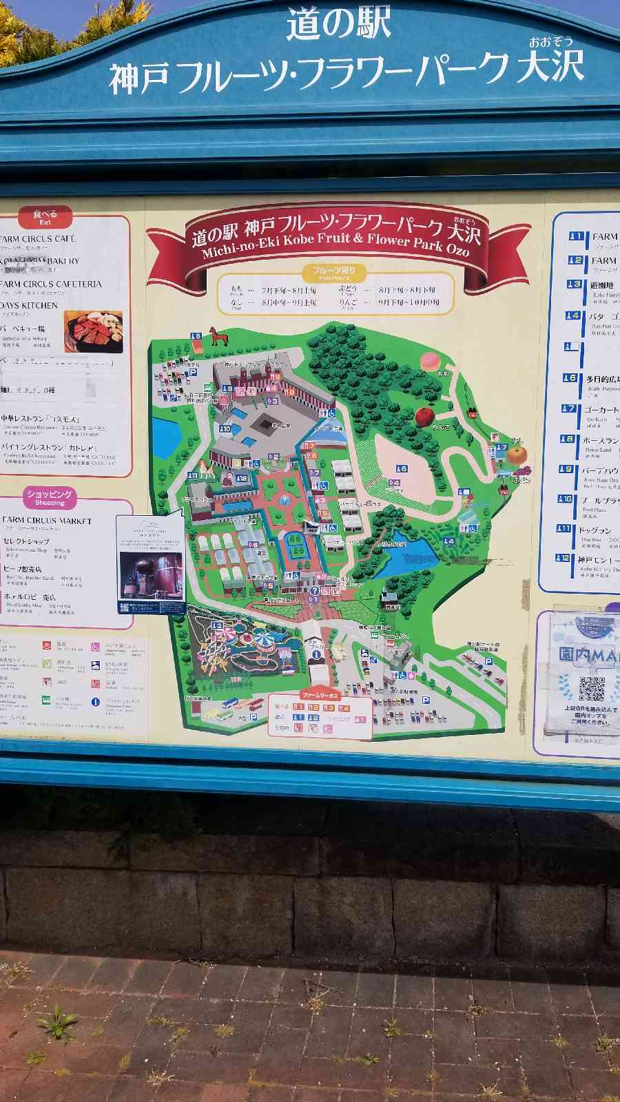 道の駅 神戸フルーツ・フラワーパーク 大沢の写真