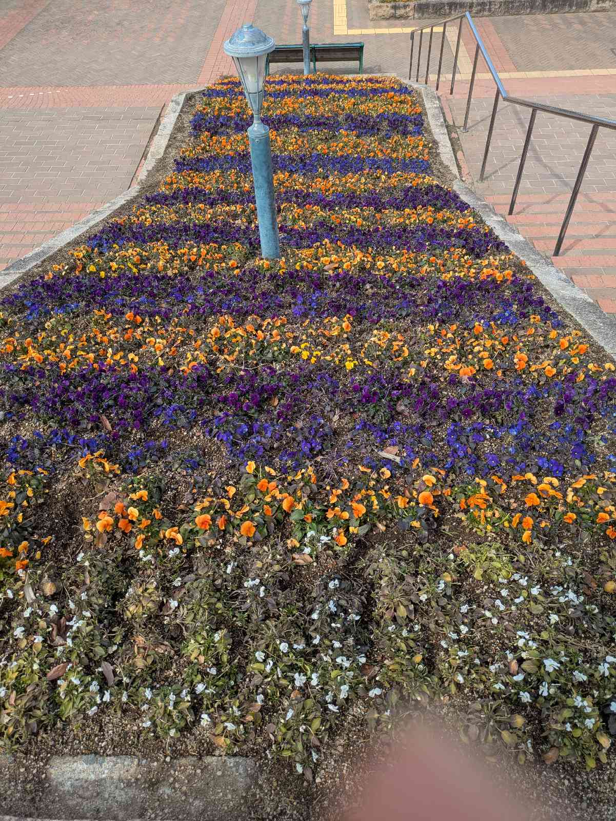 道の駅 神戸フルーツ・フラワーパーク 大沢の写真