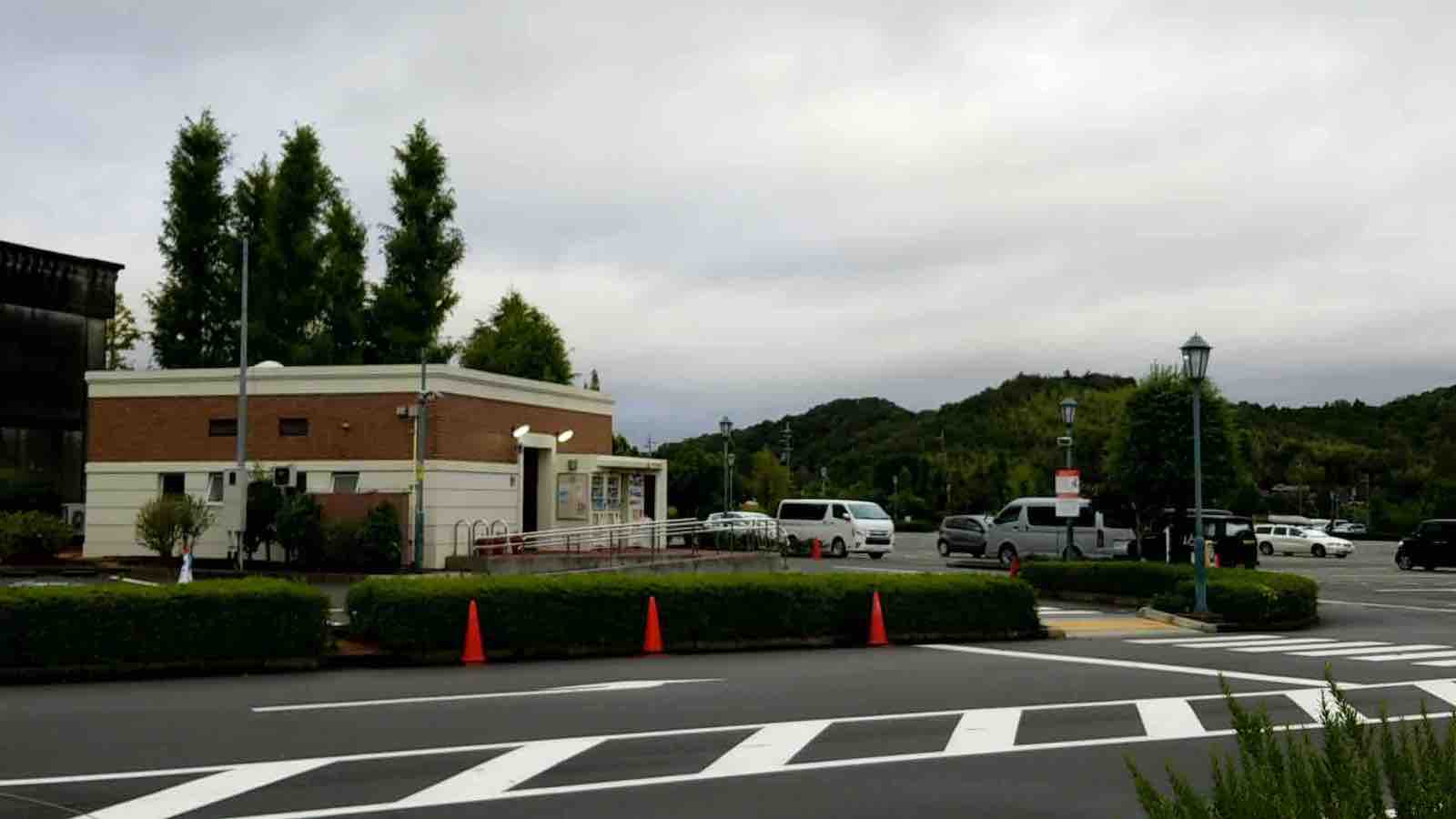 投稿された画像