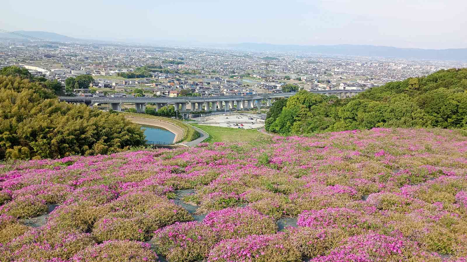 道の駅 かつらぎの写真