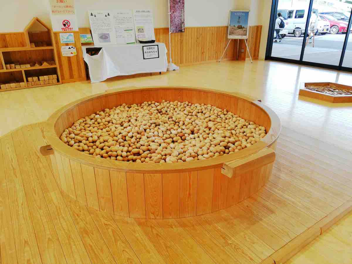 投稿された画像