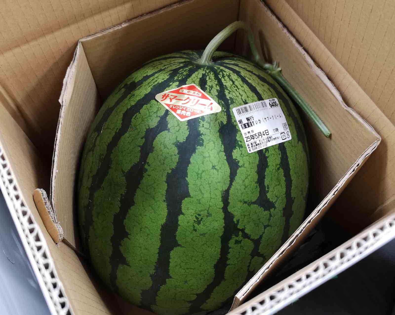 道の駅 すいかの里 植木の写真