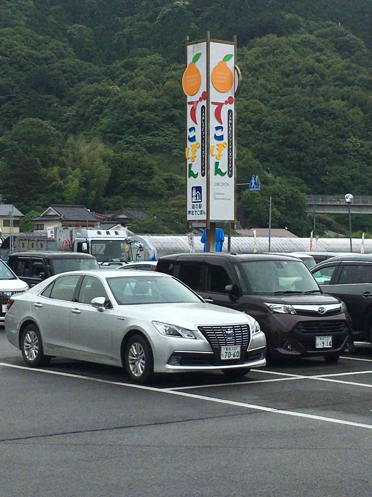 投稿された画像