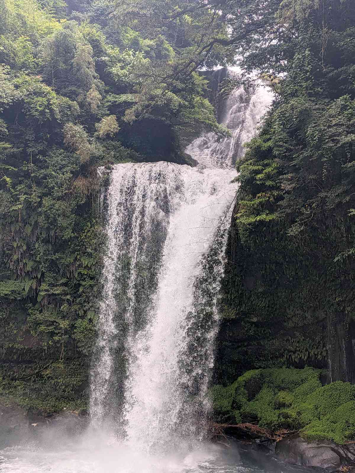 道の駅 慈恩の滝 くすの写真