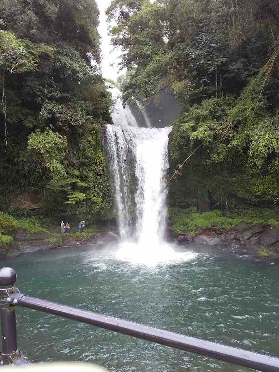 投稿された画像