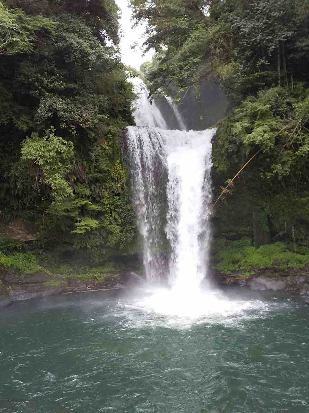 投稿された画像