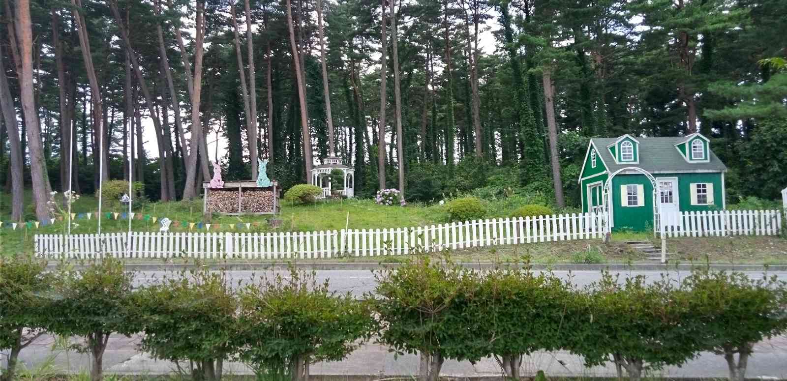 投稿された画像