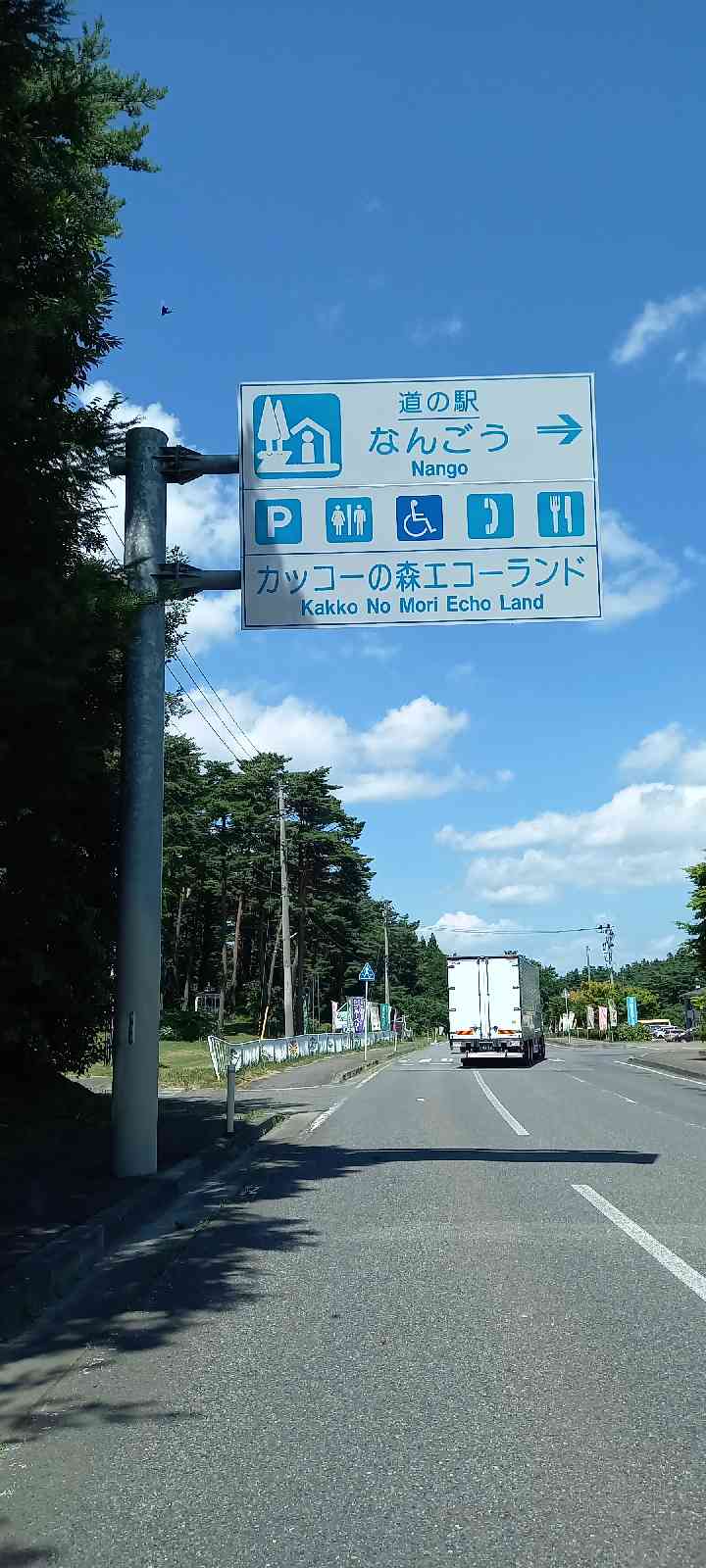 投稿された画像