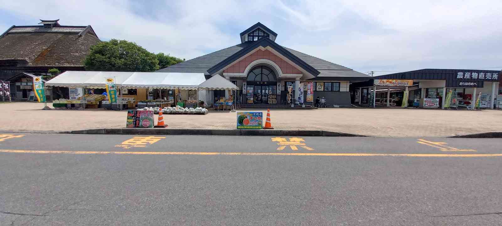 投稿された画像