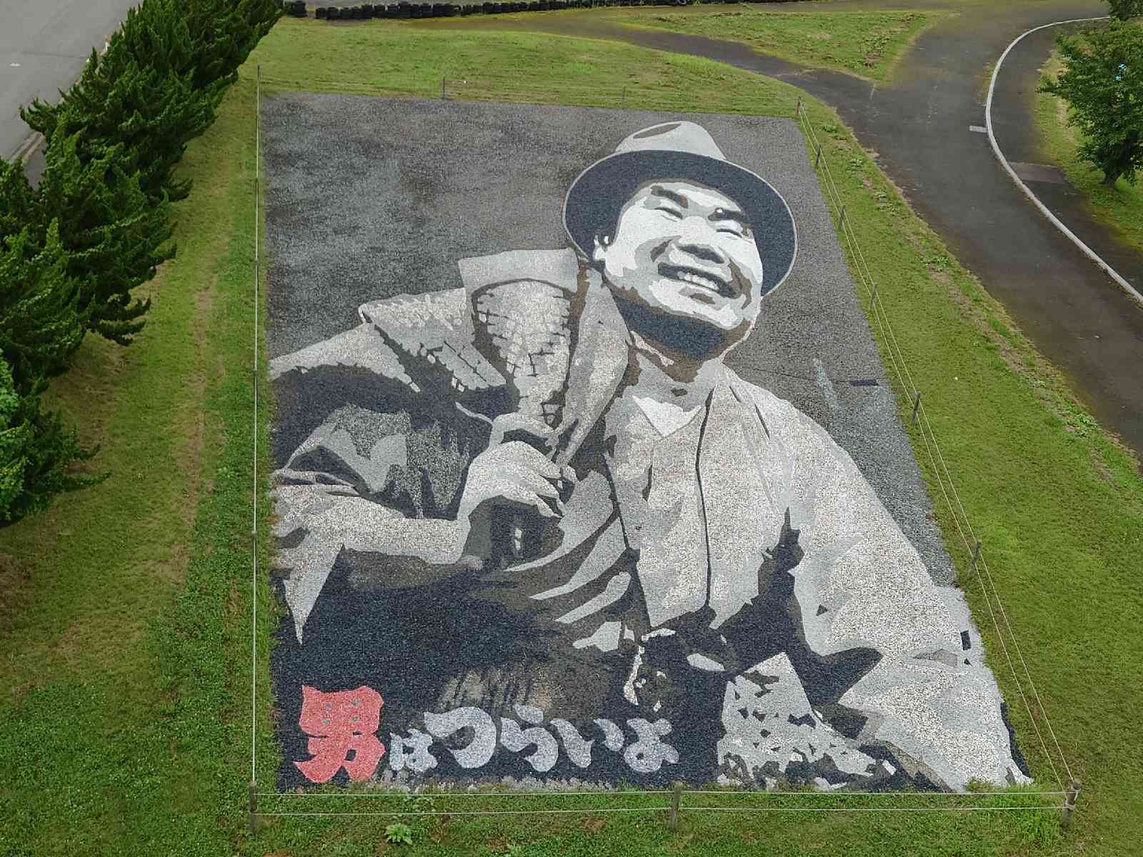 投稿された画像