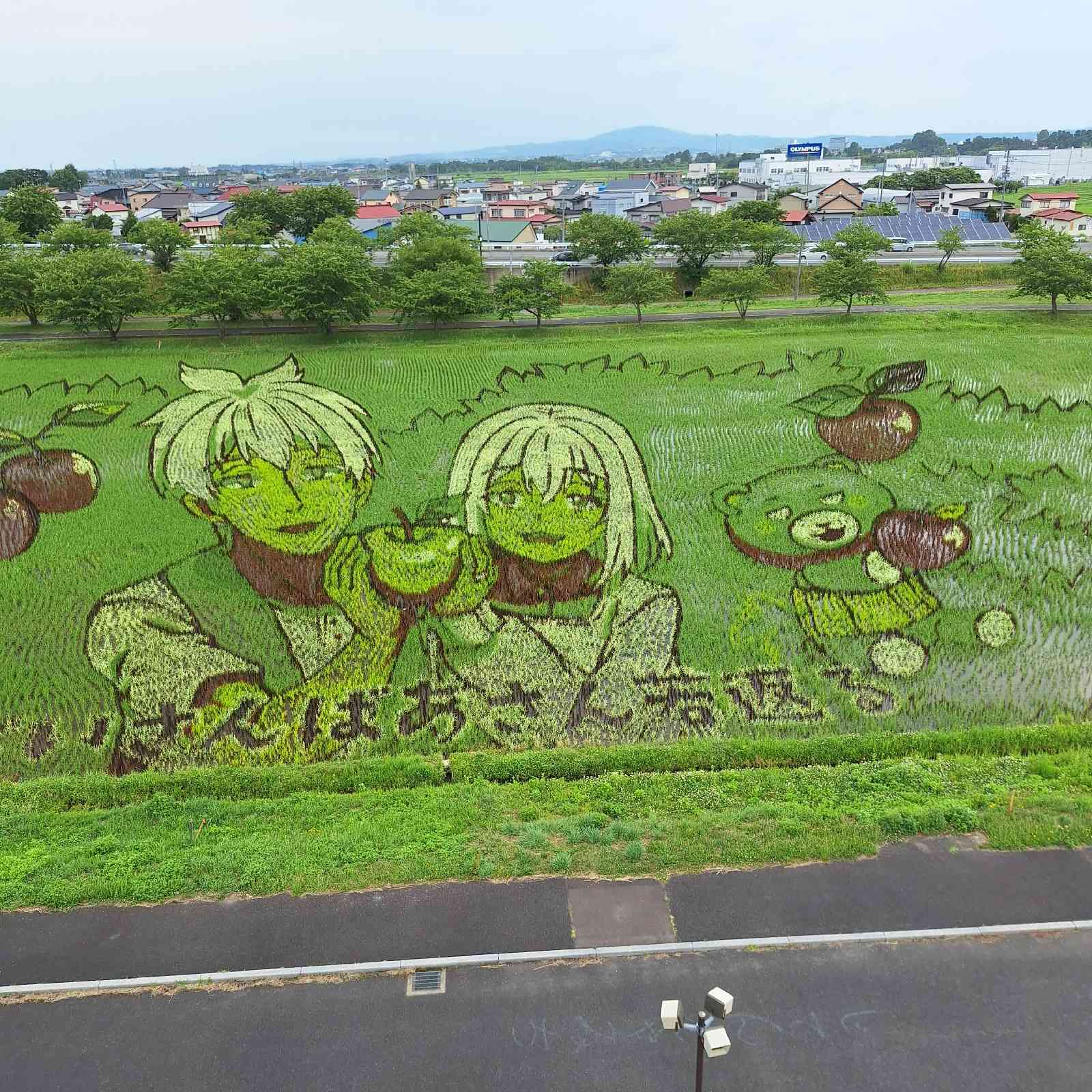 道の駅 いなかだての写真