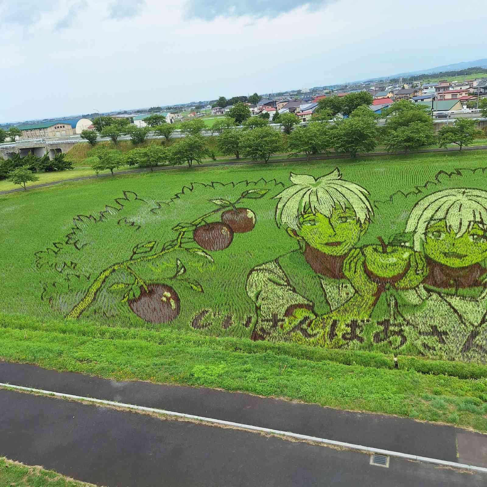 道の駅 いなかだての写真