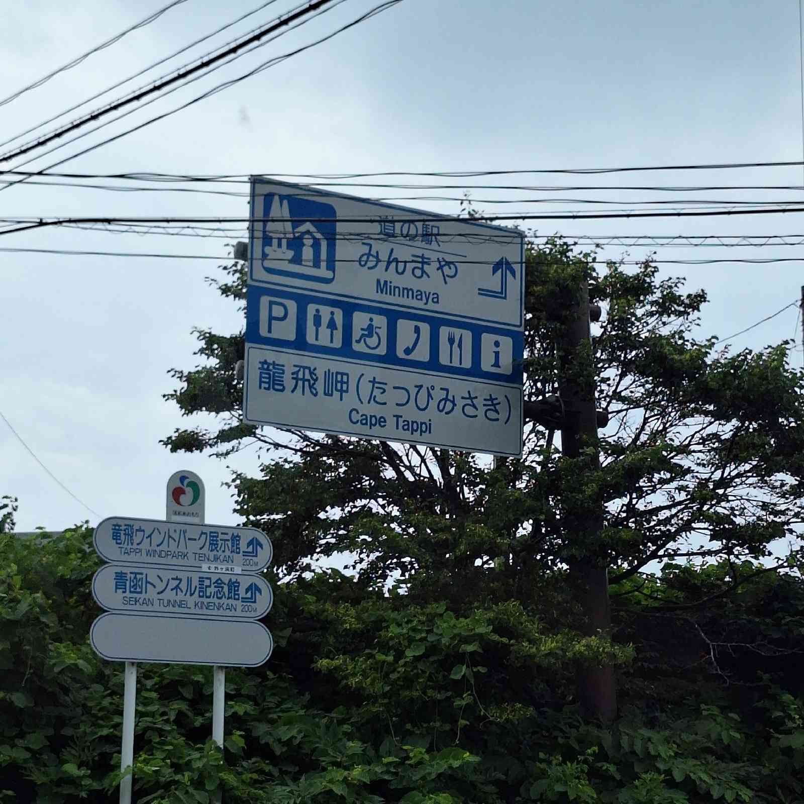 道の駅 みんまやの写真