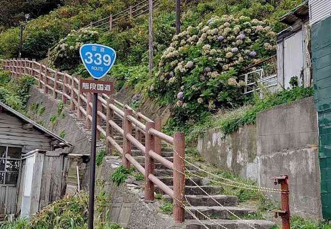 道の駅 みんまやの写真