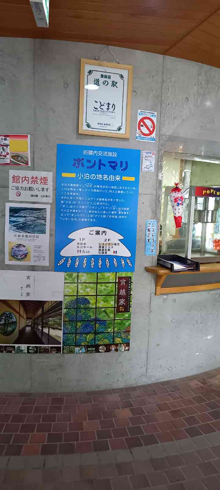 投稿された画像