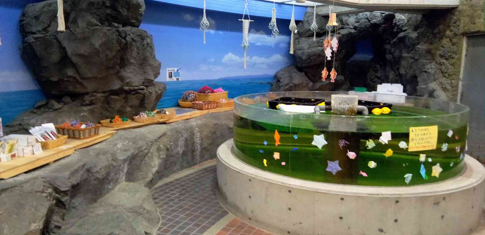 道の駅 こどまりの写真
